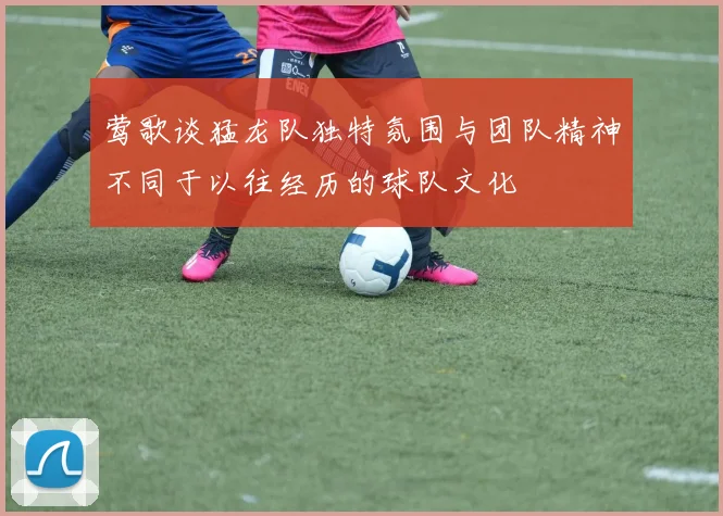 莺歌谈猛龙队独特氛围与团队精神不同于以往经历的球队文化